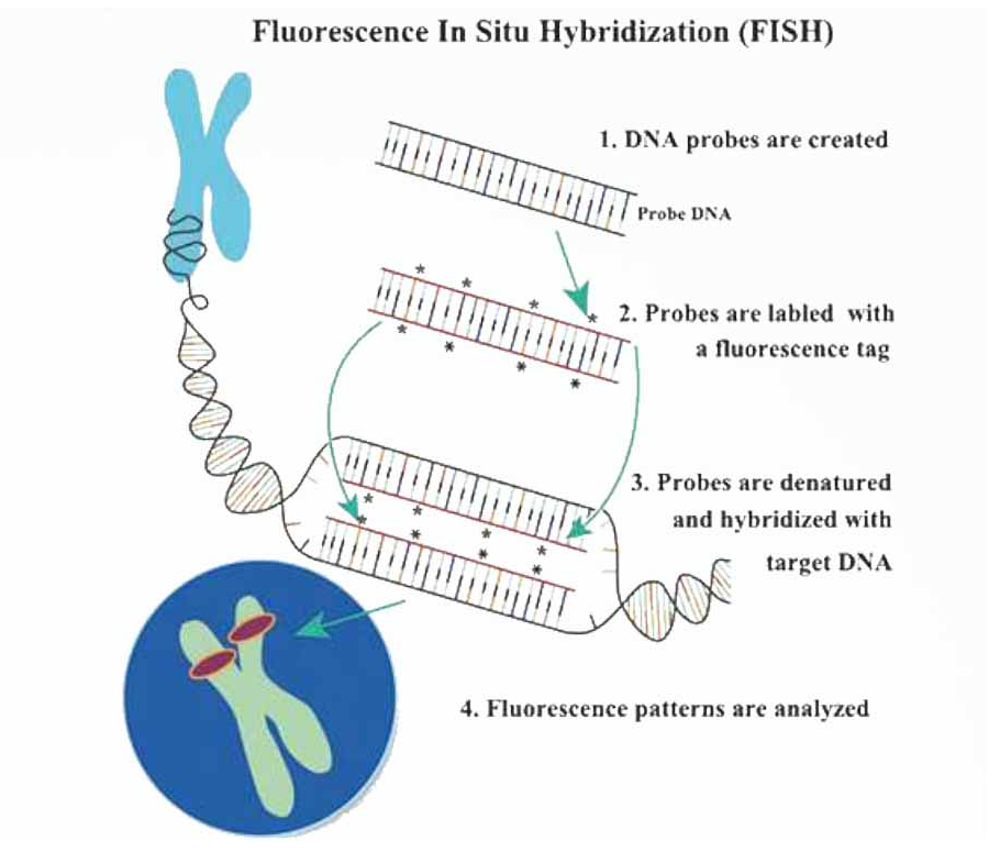 68ea0da69d50a.png image.png